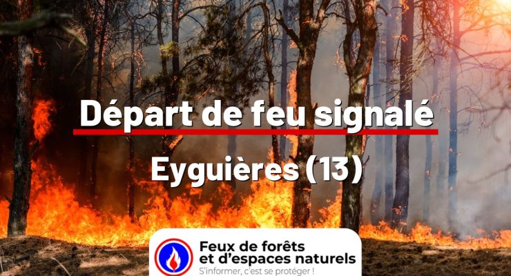 fdf-signalement-24902-mini.jpg