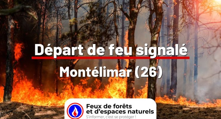 fdf-signalement-24920-mini.jpg