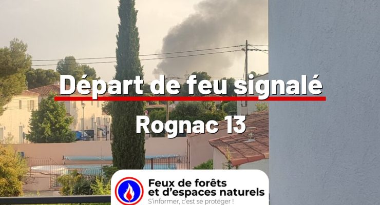 fdf-signalement-24998-mini.jpg
