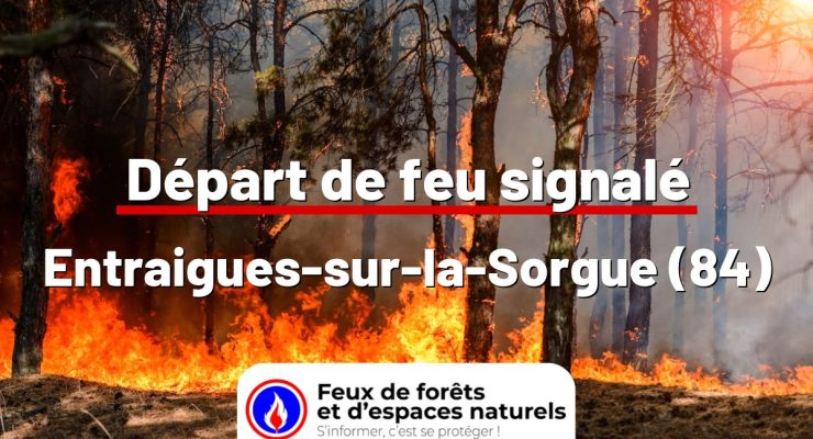fdf-signalement-25043-mini.jpg