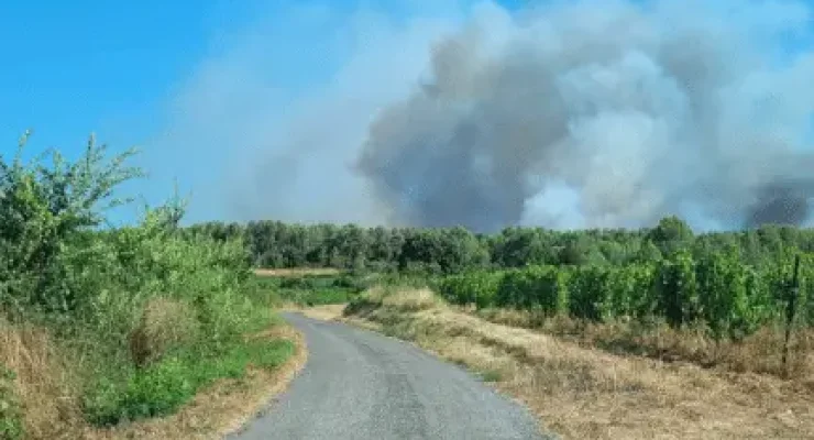 feu-assas-montpellier-herault-34