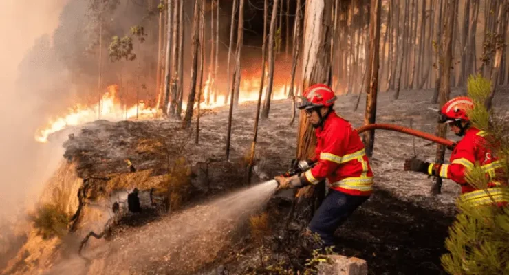 feu-incendie-en-cours-portugal