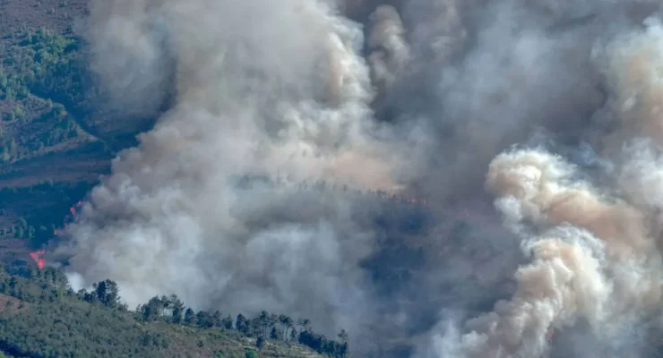 Feu de forêt en Chine