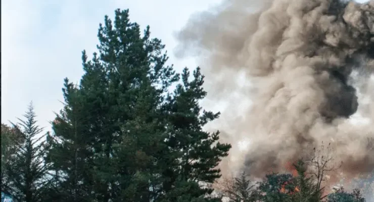 Feu d'habitation près d'une forêt.