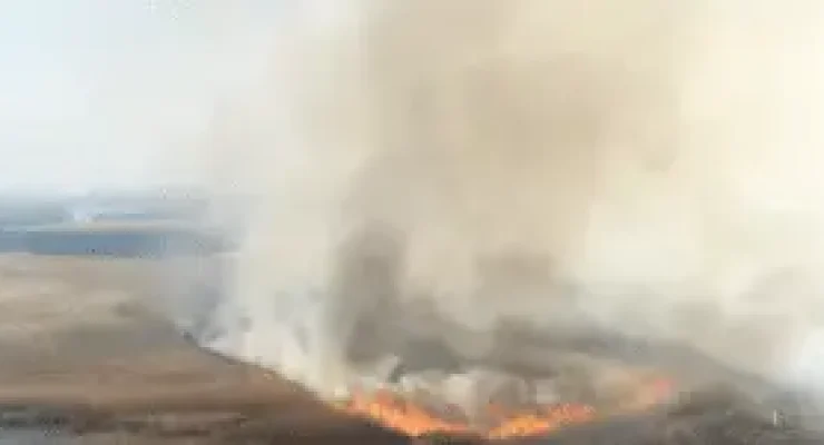 Pologne : le parc de Biebrza en proie aux flammes